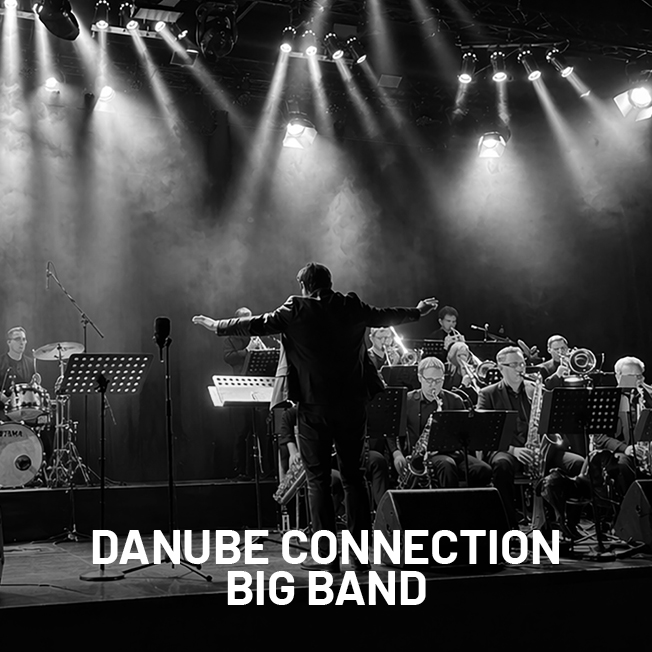 KIM WebkachelSW-danubebb